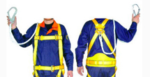 Safety Belts & Harness